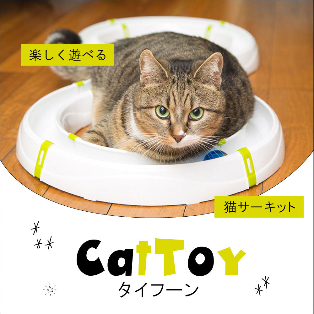 猫おもちゃ タイフーン サーキット ボール