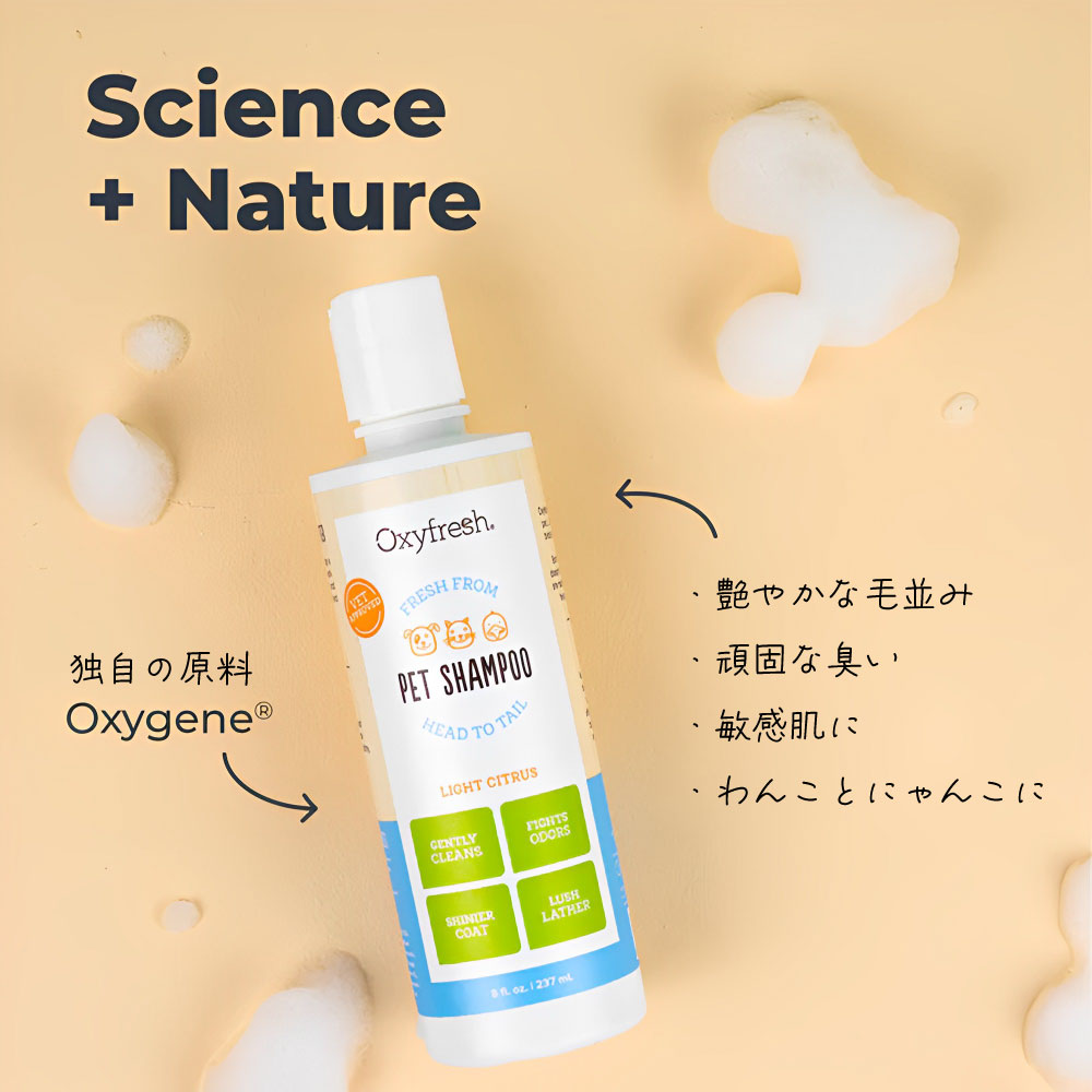 oxy オファー シャンプー