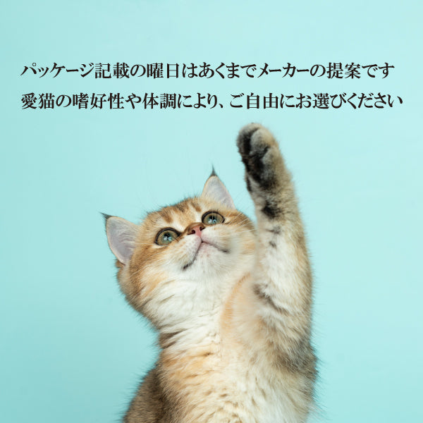 今だけ50%OFF！！数量限定 セール　チキン＆えび（かにかま入り）70g 火  ネコ 猫 総合栄養食 グレインフリー グレイビー