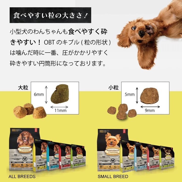 成犬用 総合栄養食 犬 ドッグフード オーブンベークド トラディション アダルトフィッシュ – ファンタジーワールド [FANTASY WORLD]