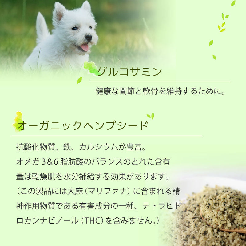 【予約販売】【20％OFF】ドッグフード ヴィーガン 総合栄養食 犬 オーブンベークド トラディション 100g/1.18kg