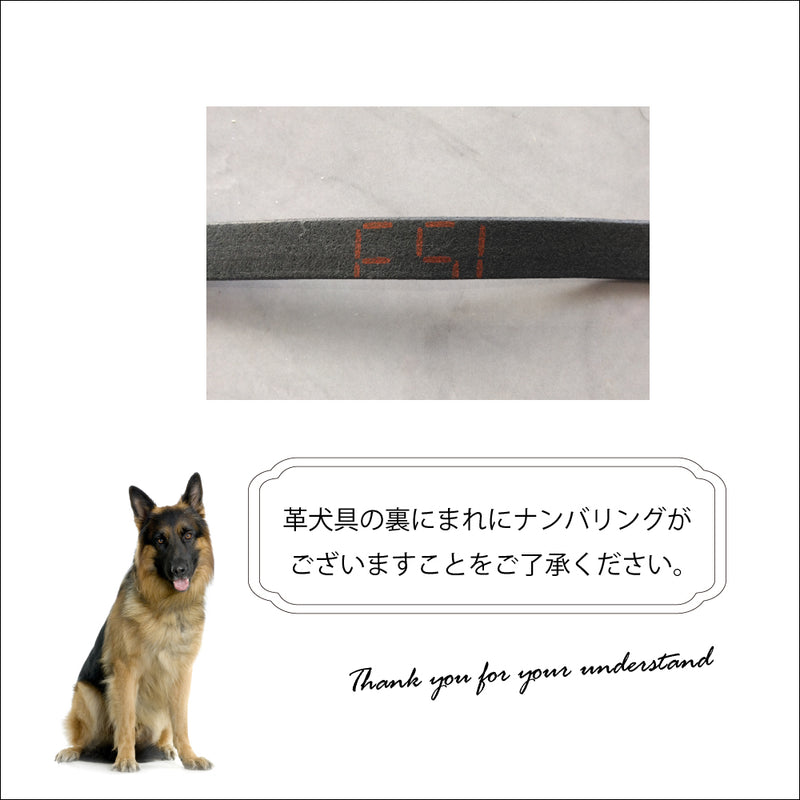 犬具 VIP GA ロングリード2頭引き 本格ブルレザー使用革 3サイズ展開