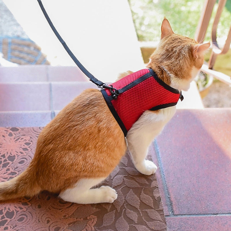 リードつき ハーネス 小動物・猫用 jogging ジョギング