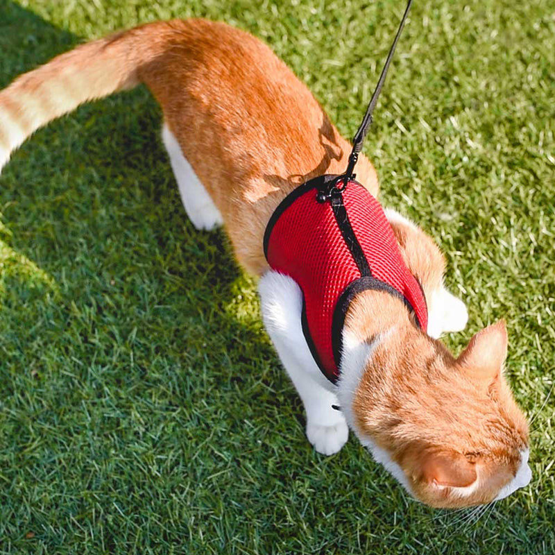 リードつき ハーネス 小動物・猫用 jogging ジョギング