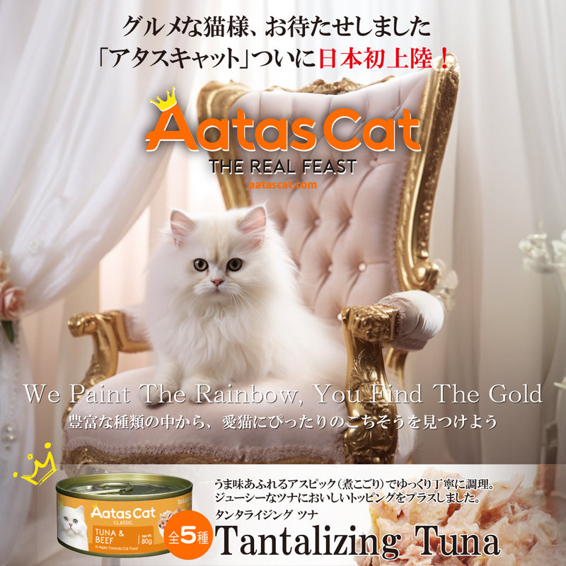 【予約販売】【30％OFF】アタス キャット フード タンタライジング 80ｇ 選べる5種類