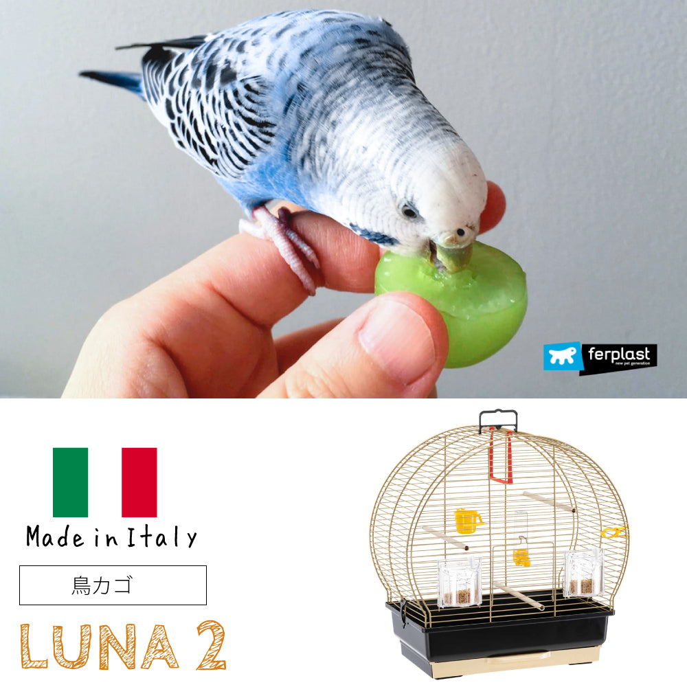 鳥かご ルナ 2 ゴールド Luna 2 鳥籠 ゲージ フルセット カナリア