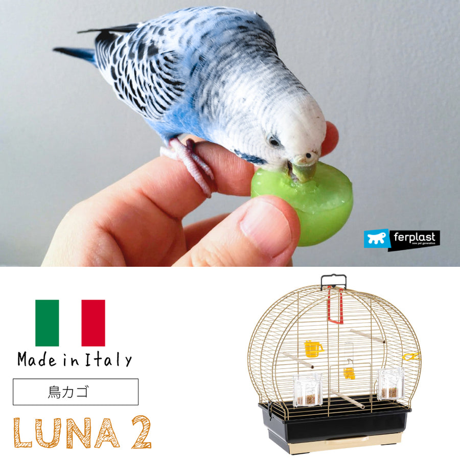 鳥かご ルナ 2 ゴールド Luna 2 鳥籠 ゲージ フルセット カナリア セキセイインコ 小型鳥用 – ファンタジーワールド [FANTASY  WORLD]