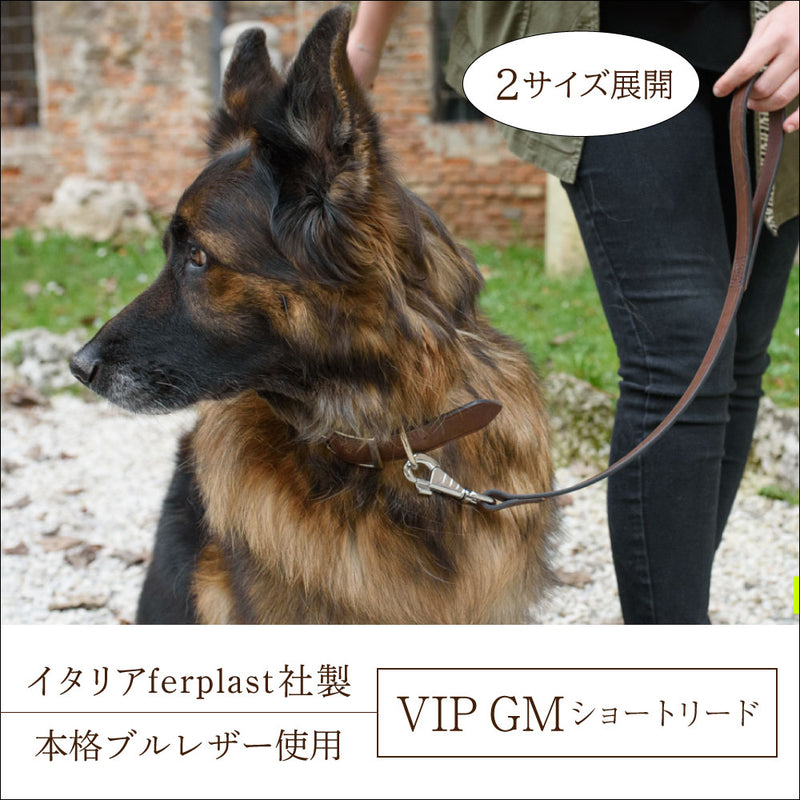 ショートリード GM 2サイズ展開 本格ブルレザー使用革犬具VIP