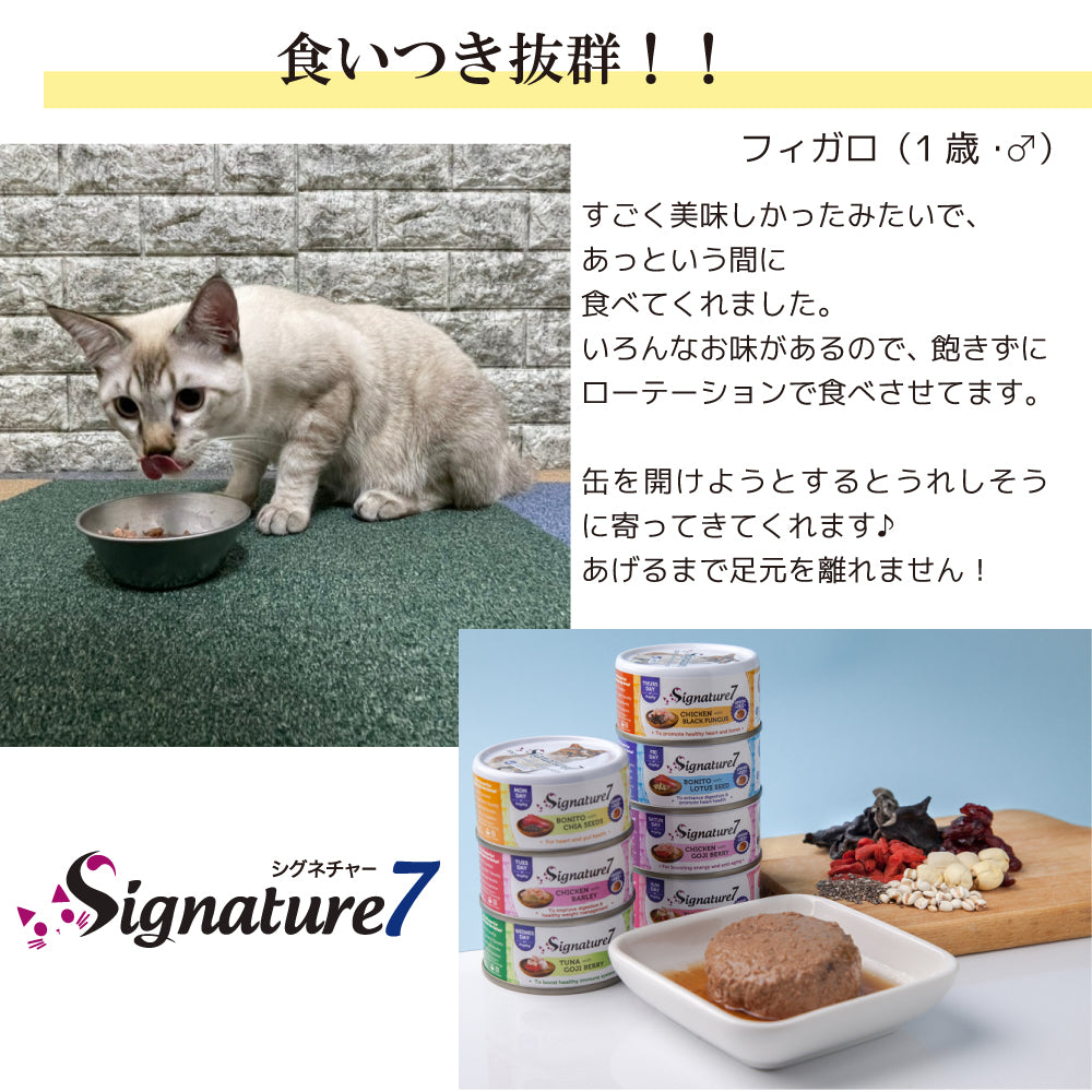 チキン＆ブラックファンガス 80g (木) ネコ 猫 総合栄養食 リアルミート パティ