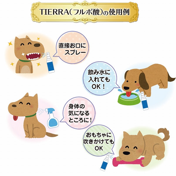 オーラル ケア コレクション 犬