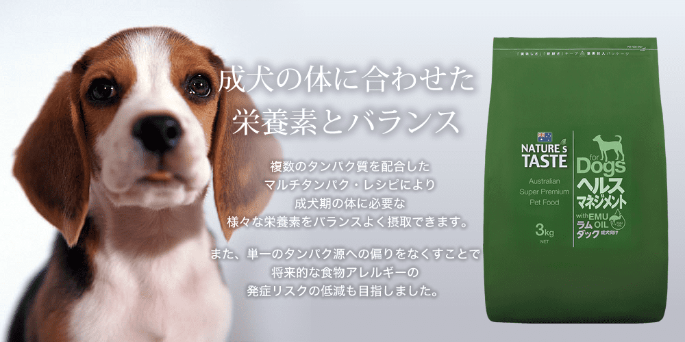 ネイチャーズテイスト ラム＆ダック ３ｋｇ 成犬期