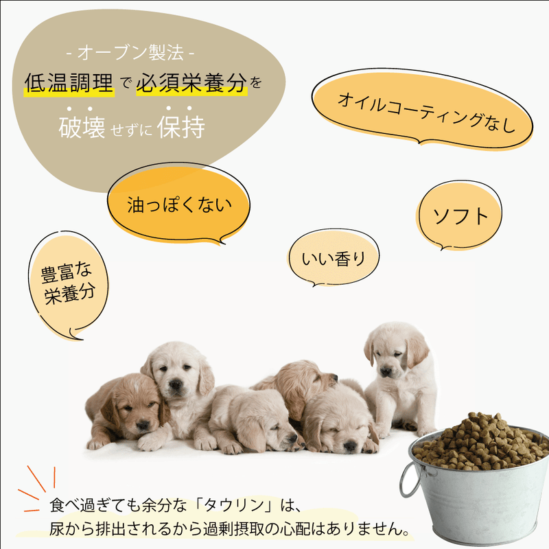 【予約販売】【20％OFF】ドッグフード ヴィーガン 総合栄養食 犬 オーブンベークド トラディション 100g/1.18kg