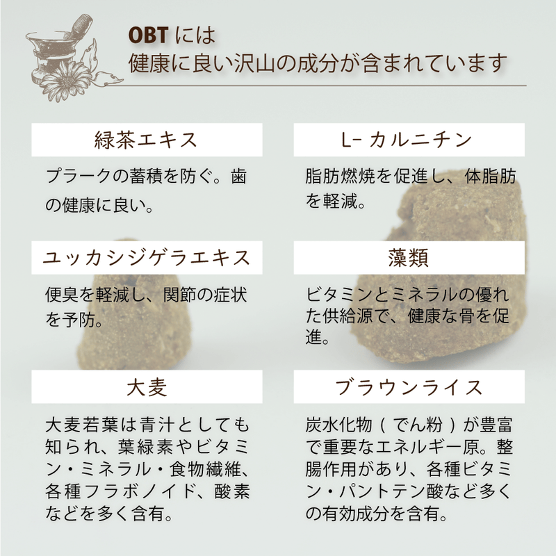 【予約販売】【20％OFF】ドッグフード ヴィーガン 総合栄養食 犬 オーブンベークド トラディション 100g/1.18kg