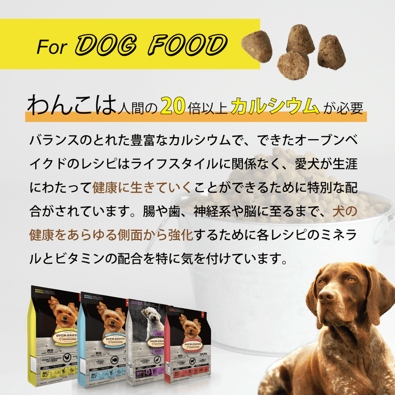 【予約販売】【20％OFF】ドッグフード ヴィーガン 総合栄養食 犬 オーブンベークド トラディション 100g/1.18kg