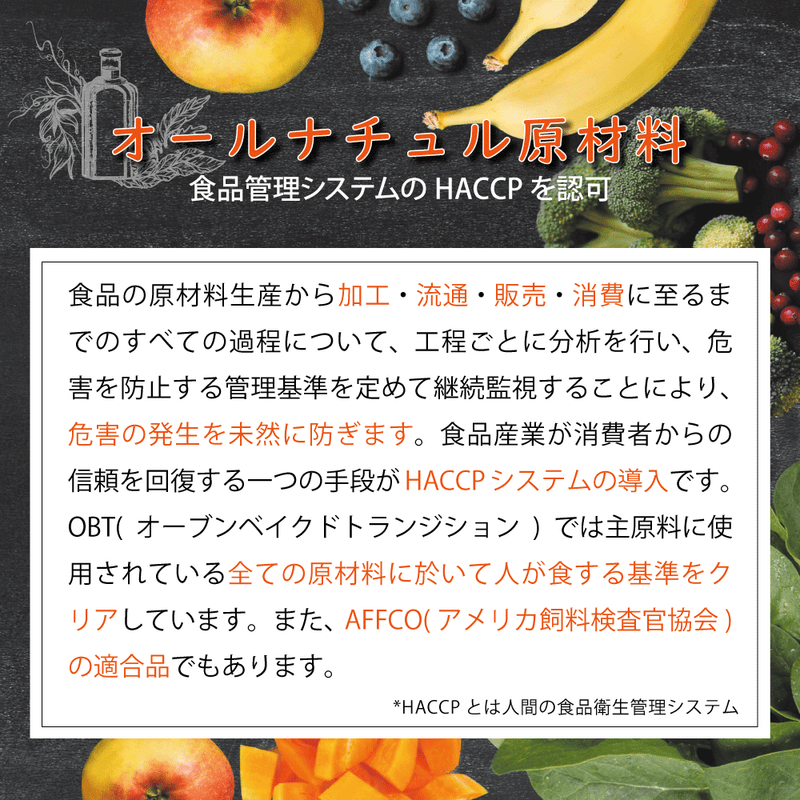 【予約販売】【20％OFF】ドッグフード ヴィーガン 総合栄養食 犬 オーブンベークド トラディション 100g/1.18kg