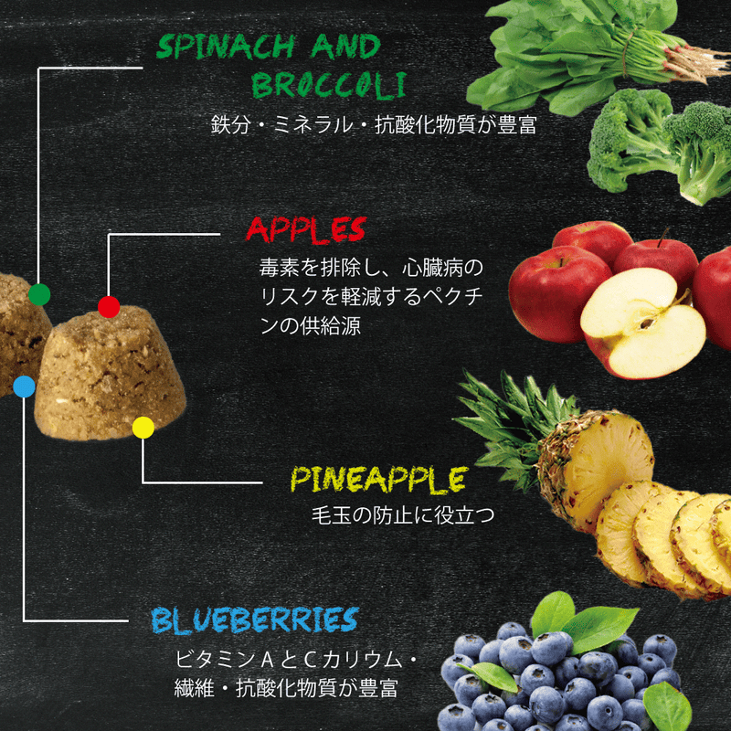 ドッグフード ヴィーガン 総合栄養食  オーブンベークド トラディション 100g/1.81kg